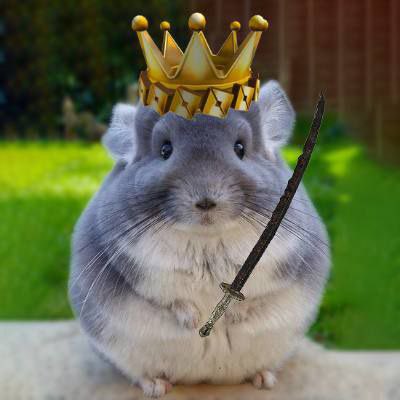 <a href="/MrZackMorris/">Zack Morris</a> In those shoes $chichi fits easily!