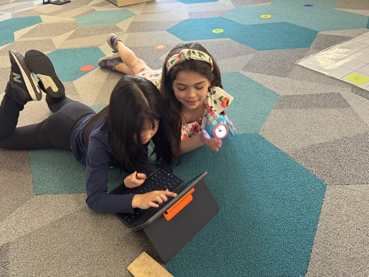 Melissa Lavery tweet media