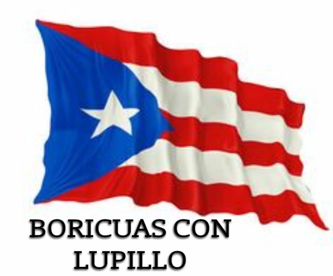 veg77822's tweet photo. No todos los boricuas somos ciegos yo soy puertorriqueña y con orgullo mi apoyo es para LUPILLO #LupilloGanador #PELONDEORO #YOCONLUPILLO ⁦@LaJefaTLMD⁩ ⁦@Telemundo⁩ ⁦@TLMDRealities⁩ ⁦@EndemolShineUS⁩ ⁦@NBCUniversal⁩ https://t.co/oYHEzx9aj0