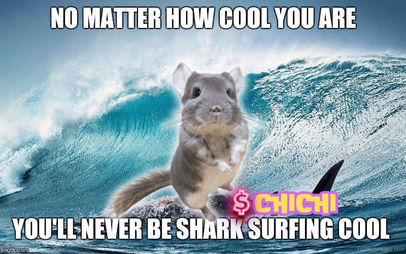 <a href="/mrpunkdoteth/">Mrpunk.eth</a> Same happens to $chichi <a href="/chichicto/">Chichi CTO</a>