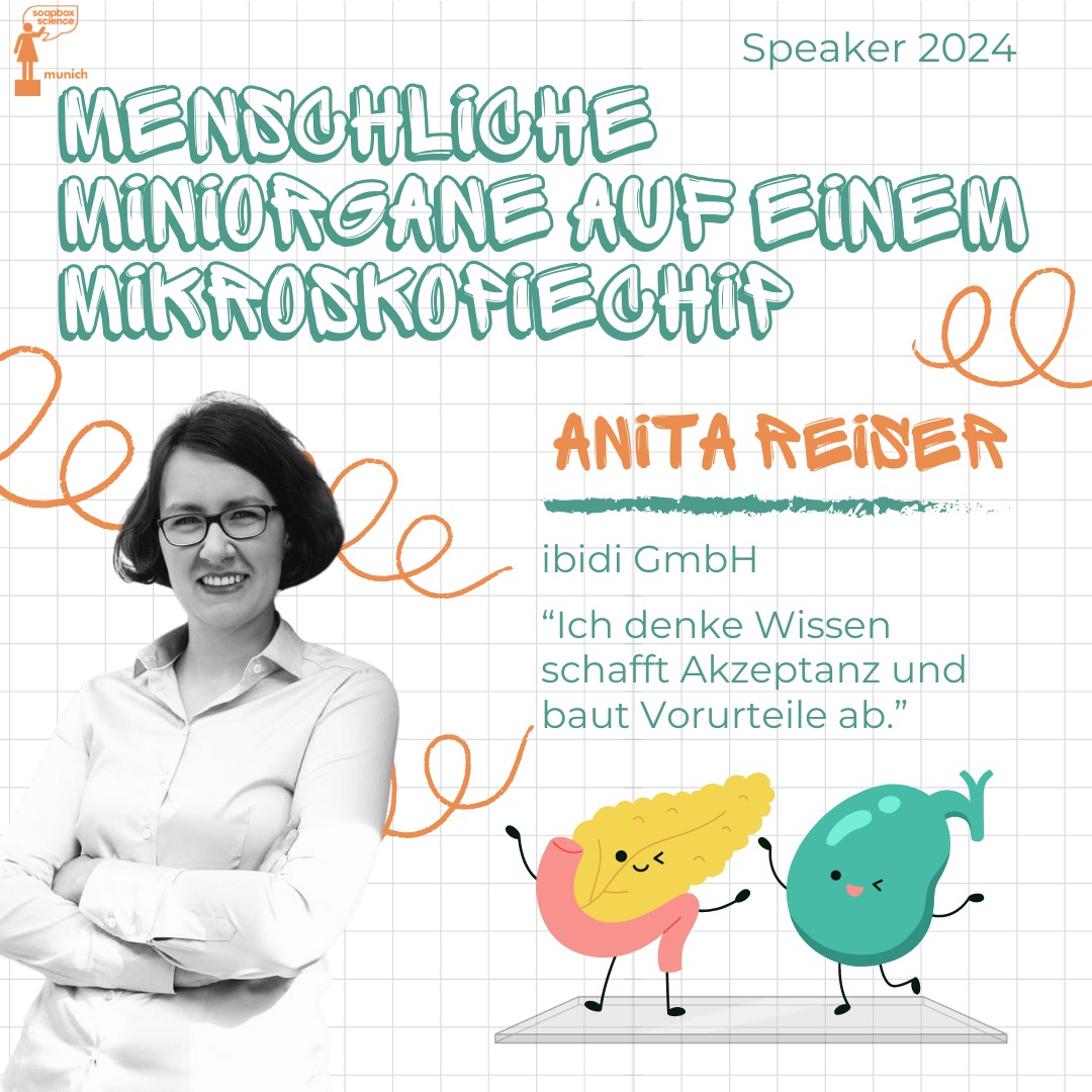 🫀Did you know what an organ-on-a-chip is? Anita Reiser will tell you on July 6th at Rindermarkt how human organs are generated in the lab and what benefits they can have.

#soapboxscience #munich #stem #womeninscience #womeninstem #science #fraueninmint #scicomm