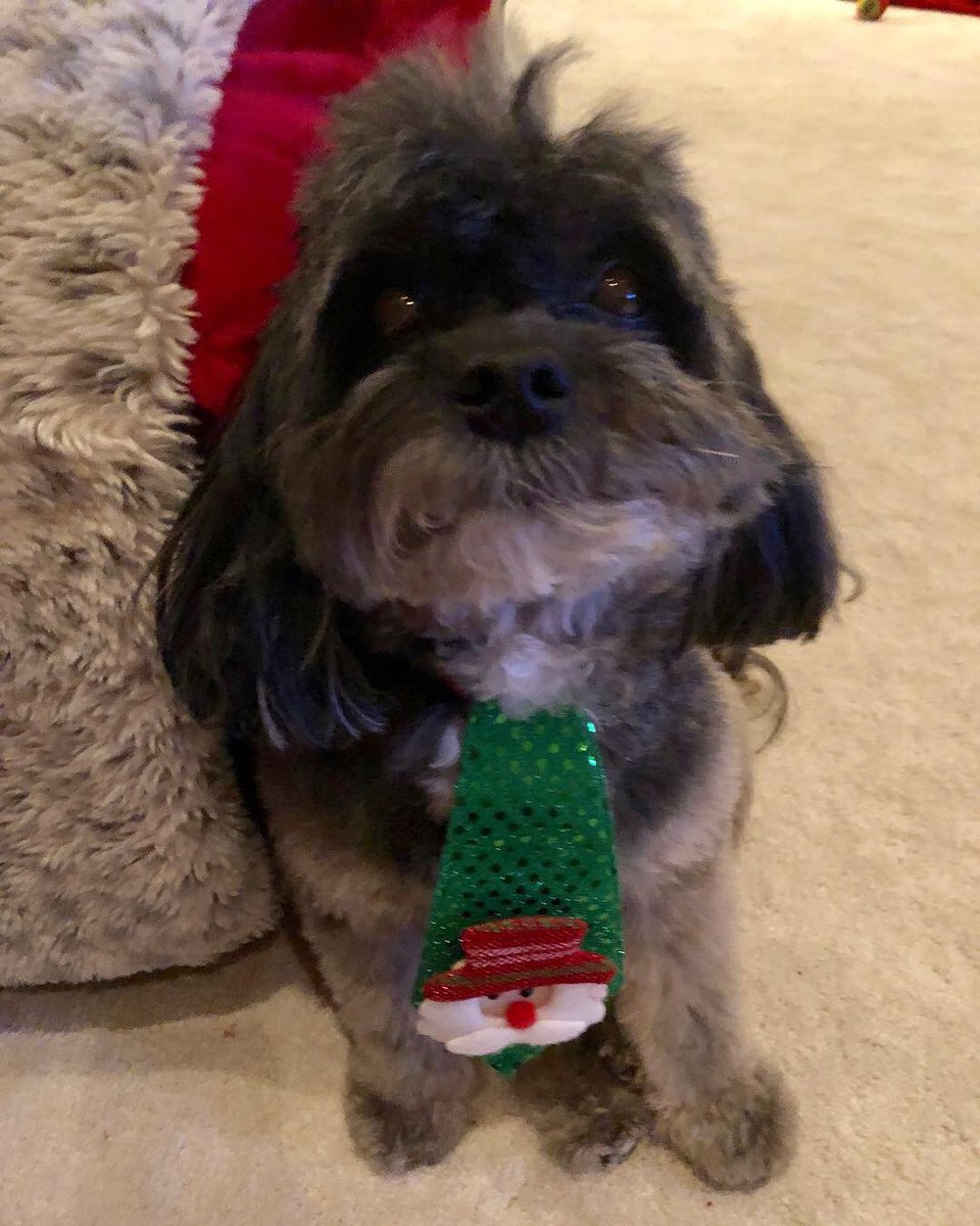 Aloha KC 🌸🌈💜🟦 tweet media