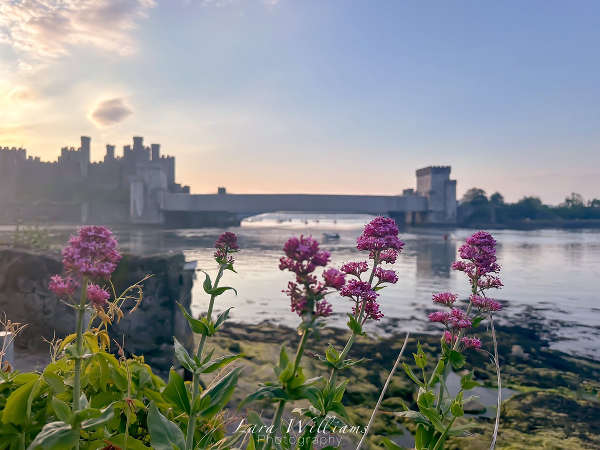 Conwy Castle 🏰 @BangorNewsWales @metoffice @northwalesmag @bbccountryfile @itvwales @itsyourwales @ruth_itv @derektheweather @northwaleslive @bbcwalesnews @cadwwales @walesonline #northwalessocial #anglesey #peoplewithpassion #conwy #castle #northwales