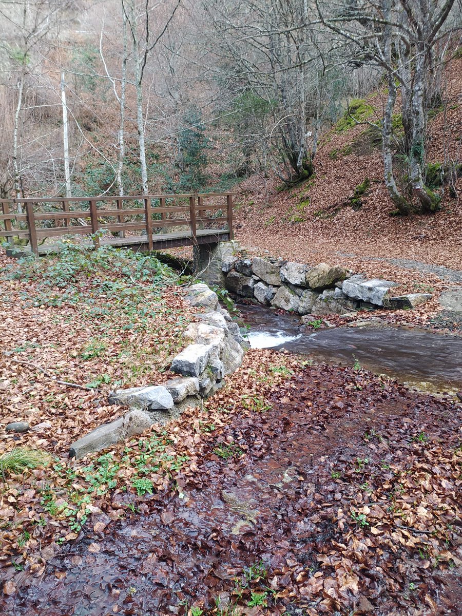 naturalezacyl's tweet image. 1/2  La #SendadelArcediano es un camino declarado #BIC que enlaza el oriente de Asturias con #CyL pasando por los puertos de #Beza y el #Pontón, atravesando el valle de Sajambre y el corazón del #PNPicosdeEuropa.