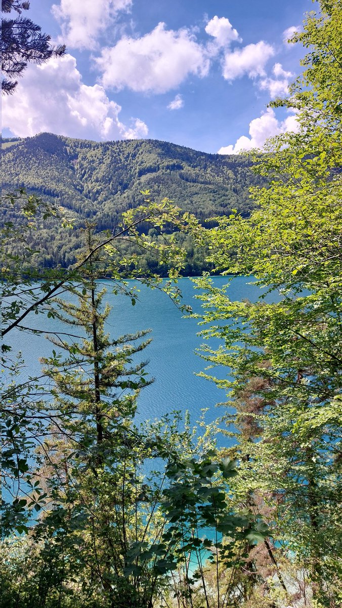 amalianwyn's tweet photo. Blue and green 🌳🏞 https://t.co/aYdLz07iUB