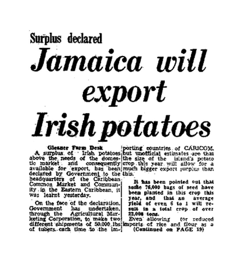 #ThisDayInOurPast: May 20, 1974
A surplus of irish potatoes above the needs of the domestic market and consequently available for export was declared by Government to the headquarters of the Caribbean Common Market and Community (CARICOM) in the Eastern Caribbean.