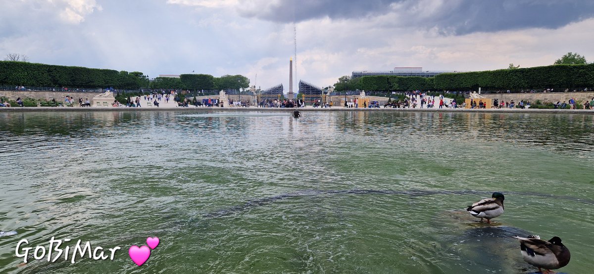 Le grand bassin au #jardindestuileries ❤️❤️
C'est mon préféré, mais l'été je me prélasse volontiers sur 1 des 4 du  jardin.