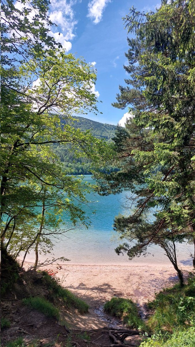 amalianwyn's tweet photo. Blue and green 🌳🏞 https://t.co/aYdLz07iUB