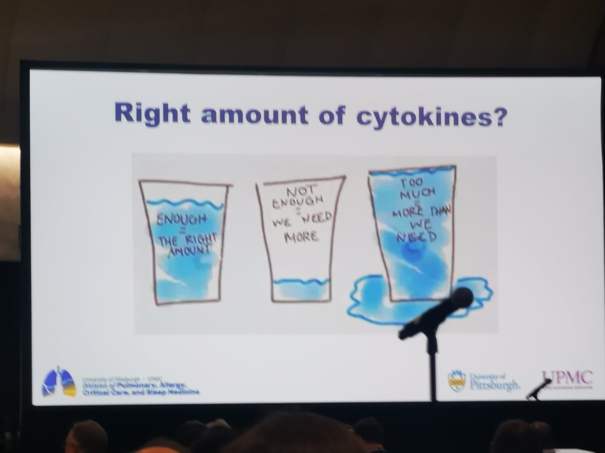 Charles Dela Cruz on Cytokine Therapy in Pneumonia
@CDelaCruzMed

#RespEd #ATS2024