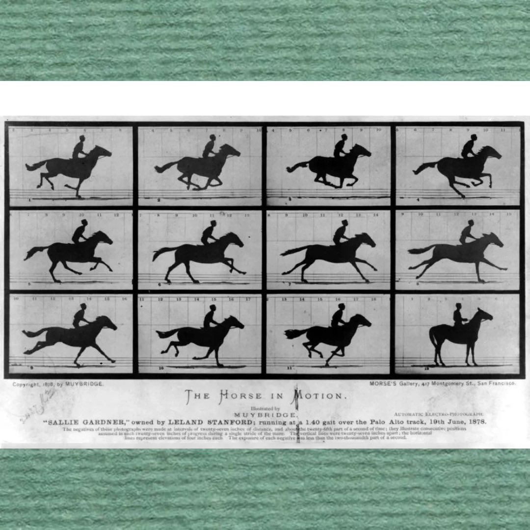 Photos like this one, taken by Eadweard Muybridge, helped spark the birth of movies. But did you know that Muybridge, considered by many to be the ✨father of motion pictures ✨ was also a ✨murderer ✨?? Hear the shocking story of Muybridge’s trial now! podcasts.apple.com/us/podcast/his…