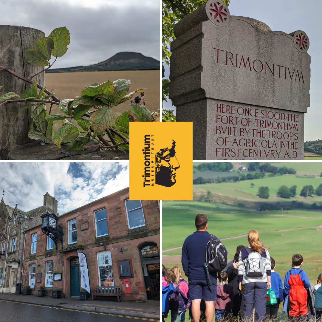 If you're seeing this then it's time to join us for one of our Trimontium Walks! 🌟 Happening each Thursday at 1:30pm! Next walk will be on May 23rd at 1:30 pm. 🚶🚵🌳  *Dogs welcome *Children free *Book Online Join us for some fresh air and history! zurl.co/uJXR