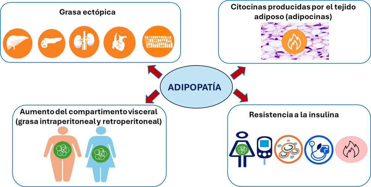 REC Publications (@revespcardiol) on Twitter photo Obesidad y enfermedad cardiovascular y renal. Posicionamiento de las Asociaciones de Cardiología Preventiva, Cardiología Clínica e Insuficiencia Cardiaca de la SEC #reccardioclinics #AheadOfPrint  <a href="/almucastro01/">Almudena Castro Conde</a> <a href="/jlgorriz/">Jose Luis Górriz</a> <a href="/Dr_Manito/">Nicolas Manito</a> <a href="/MartaCoboMarcos/">Marta Cobo Marcos</a> <a href="/rfreixap/">Román Freixa Pamias</a> <a href="/jcobaya69/">Juan Carlos Obaya</a> Obesidad y enfermedad cardiovascular y renal. Posicionamiento de las Asociaciones de Cardiología Preventiva, Cardiología Clínica e Insuficiencia Cardiaca de la SEC #reccardioclinics #AheadOfPrint  <a href="/almucastro01/">Almudena Castro Conde</a> <a href="/jlgorriz/">Jose Luis Górriz</a> <a href="/Dr_Manito/">Nicolas Manito</a> <a href="/MartaCoboMarcos/">Marta Cobo Marcos</a> <a href="/rfreixap/">Román Freixa Pamias</a> <a href="/jcobaya69/">Juan Carlos Obaya</a>