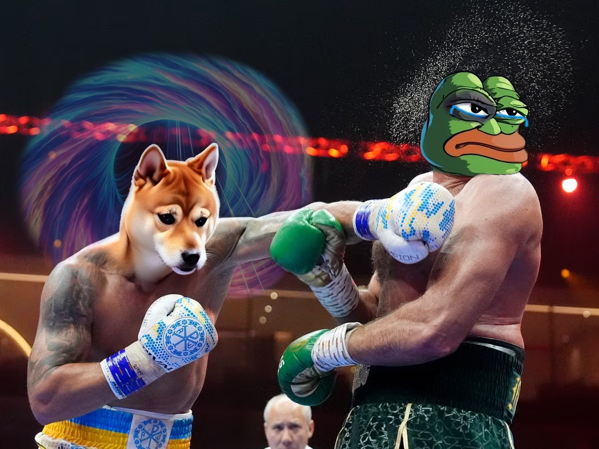 Knocking down the #Memecoin competition! 🥊🐸

#Solana #Altcoins #Crypto #PEPE #Usyk #TysonFury #FuryvsUsyk #Boxing #Champion