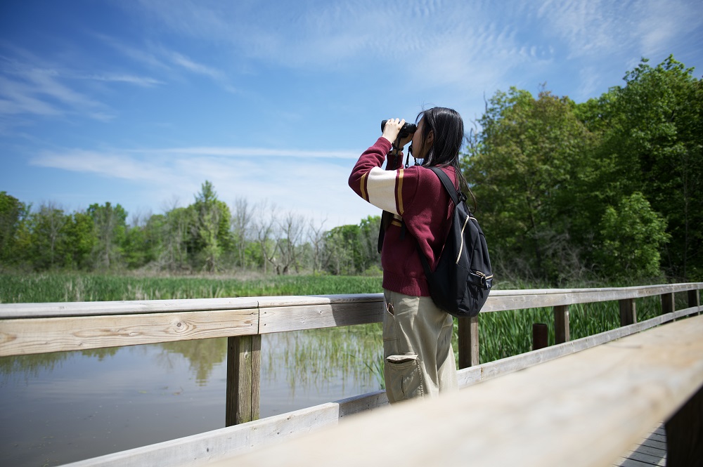 Birders, we need YOU at @PineryProvPark on May 24-29 for our Square Bash! 🐦🎉

Help count and identify birds for @ONBirdAtlas: bit.ly/4aokcmz