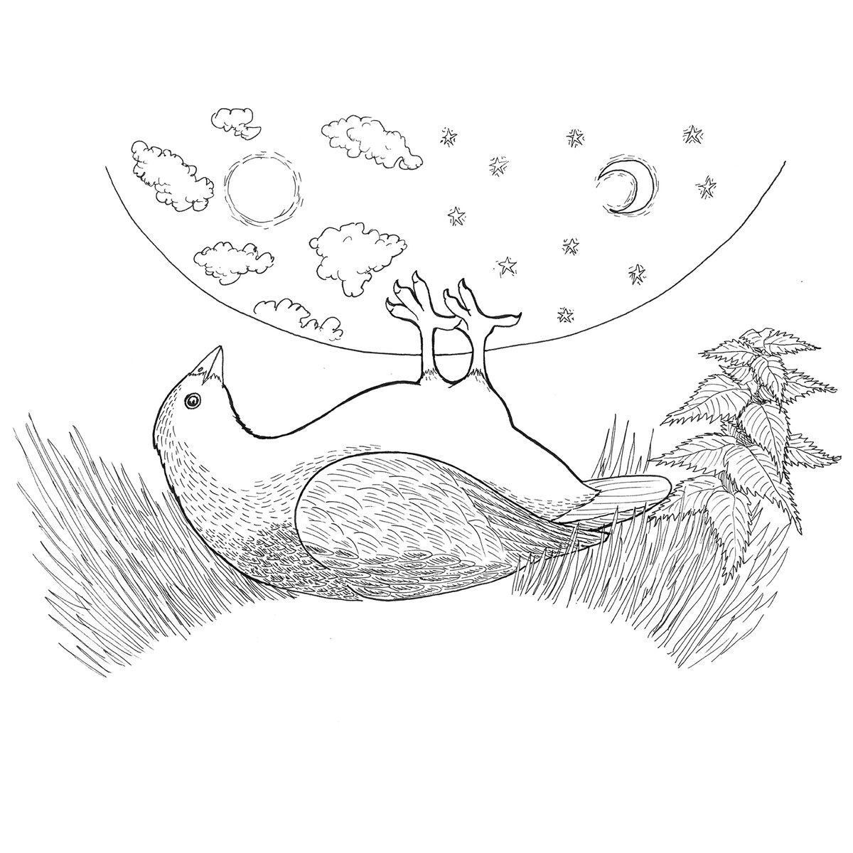 Join ATLAS Arts for a Corncrake Ceilidh Friday 14 June, location TBC, 12:00 noon– 24:00 midnight. A full day event of music, storytelling, sculptures, birding workshops, walks and folklore in celebration of the enigmatic bird and its presence across the Hebrides.