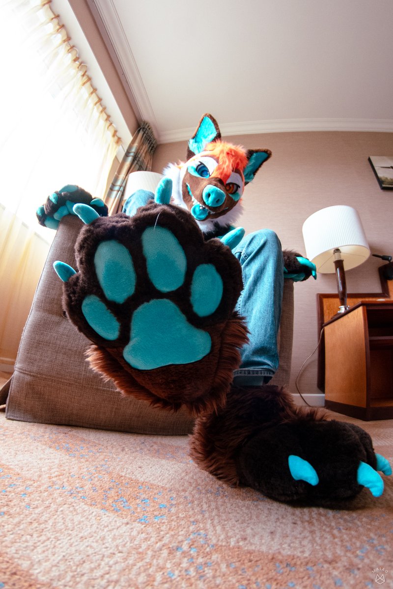#pawday? alright, squish squish
📷 : <a href="/Krymson_K/">Krym🐾 /🟦 : tuftslink.fr</a>