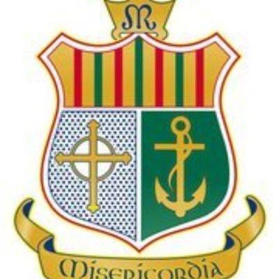 Cricket Leinster tweet media