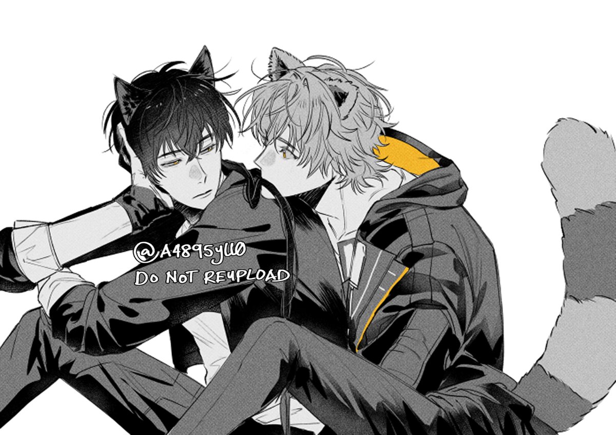 A4895yll0's tweet photo. 💛🐈‍⬛🦝 https://t.co/Z11GBjzPl7
