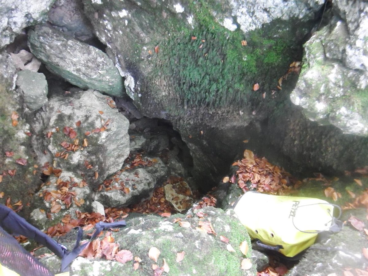 espeleogel's tweet photo. Documentación actualizada de la cueva de Zarpia, en la sierra de Iturrieta (Álava)
https://t.co/xo14pCdDz8 https://t.co/lryb892YY8