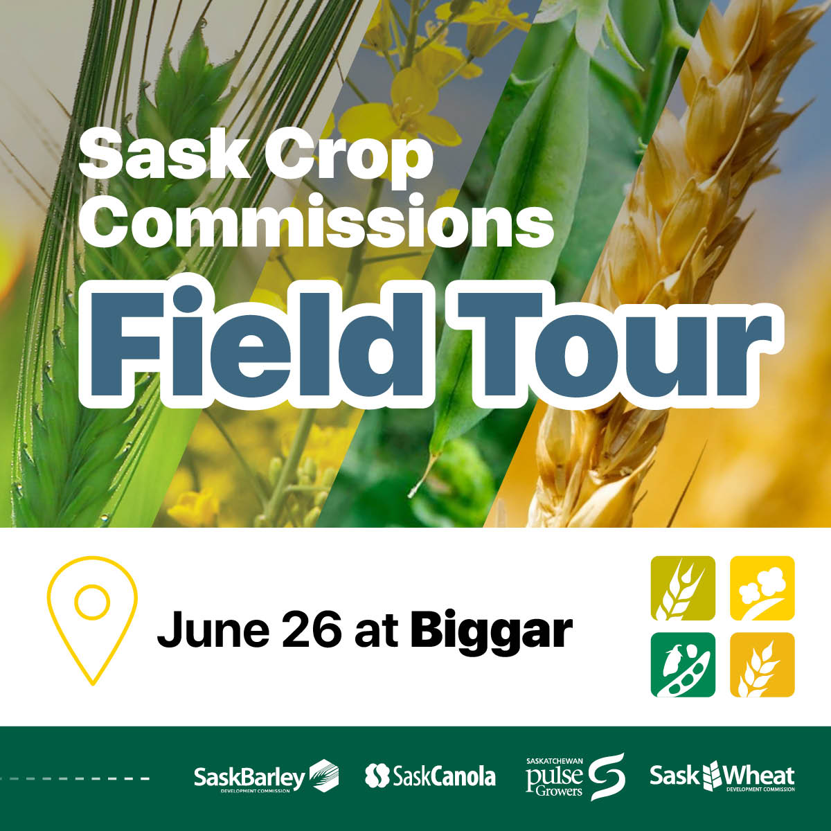 Interested in learning more about on-farm research? Join your provincial pulse, barley, canola, and wheat commissions on June 26 to tour cooperator trials in the Biggar area. Register here: ow.ly/f2c450RC21Y #SaskAg #Grow24 @SaskBarley @SaskCanola @SaskWheat