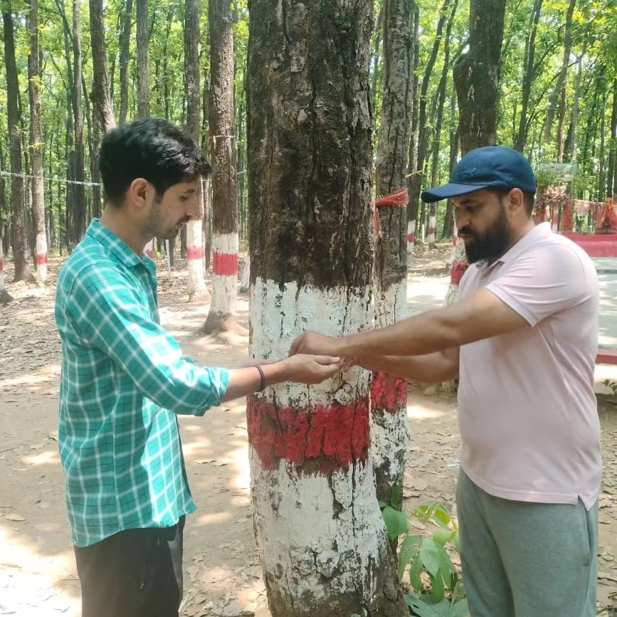 USF4YOUTHS's tweet photo. खलंगा के जंगलों में शाल के हजारों पेड़ों को काटे जाने के ��िरोध में यूएसएफ के साथियों ने अन्य सामाजिक संगठनों के साथ मिलकर पेड़ों पर रक्षा सूत्र बांधकर उनकी रक्षा की शपथ ली । हम अपने जल, जंगल और जमीन की रक्षा करेंगे ।
#SaveKhalangaForest https://t.co/bYLooUTTWy