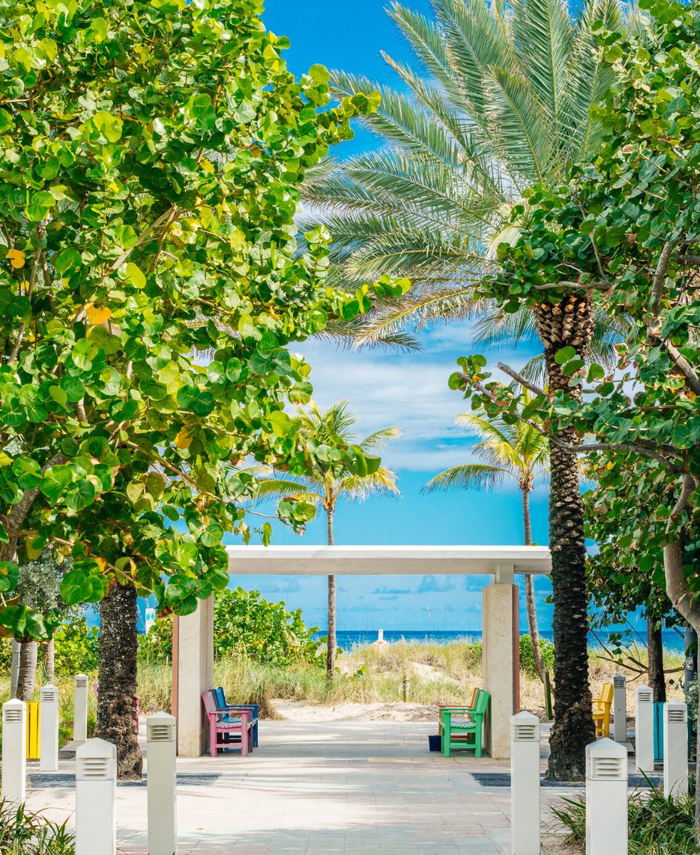 Visit Lauderdale tweet media