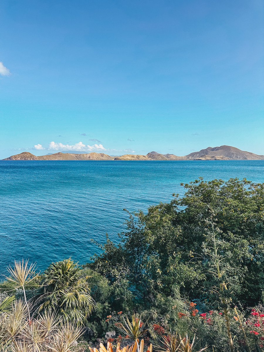 Alex Recouso tweet media