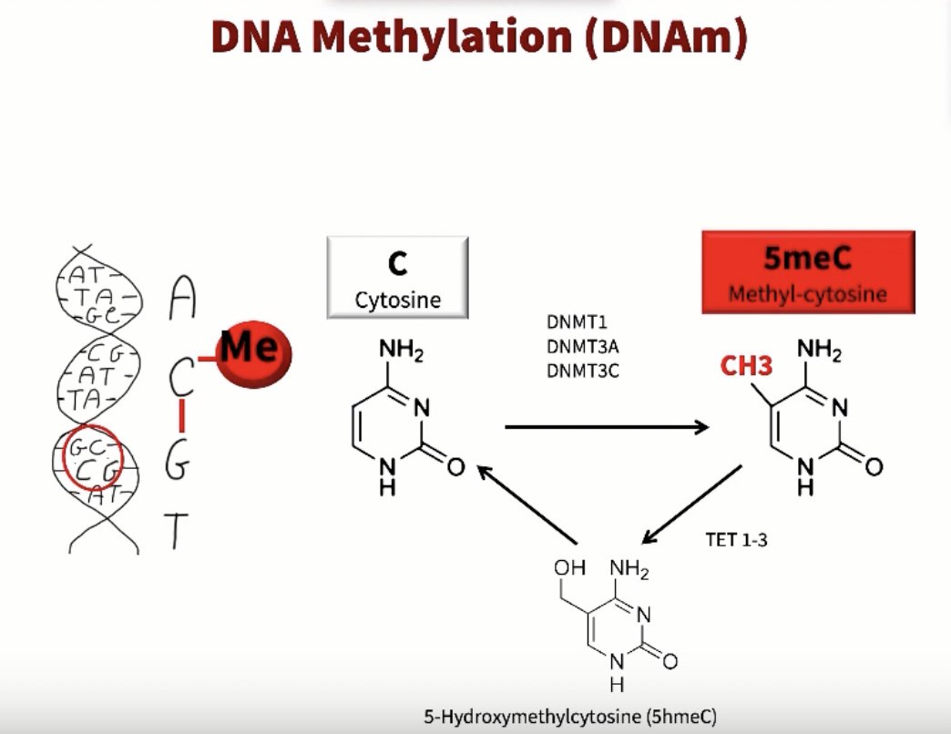 DNA methylation is one way

that we program our epigenome

by our lifestyle choices.

draronica.com/free-webinar/

@LuciaAronica