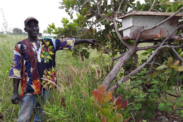Bee-lieve it or not, 1/3 of our food depends on bees! #WorldBeeDay raises awareness of their vital role. Learn how you can help: un.org/en/observances…

 #ProtectOurPollinators