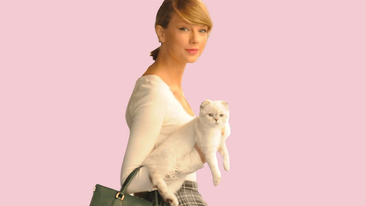 Taylor Swift's Cat Dibbles tweet media