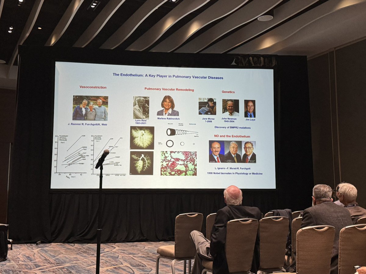 rjbernardoMD's tweet photo. An amazing journey through the progress in pulmonary vascular by @phassou1 @HopkinsPCCM @ATS_PC @PHatStanford #ATS2024 https://t.co/swznLVHMzK