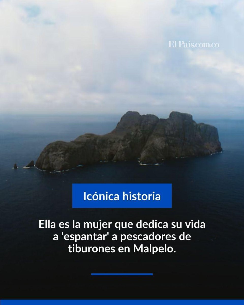 👉 ¿Quién es la mujer y cómo es su trabajo? Conozca la historia: elpais.com.co/cali-cop16/la-…