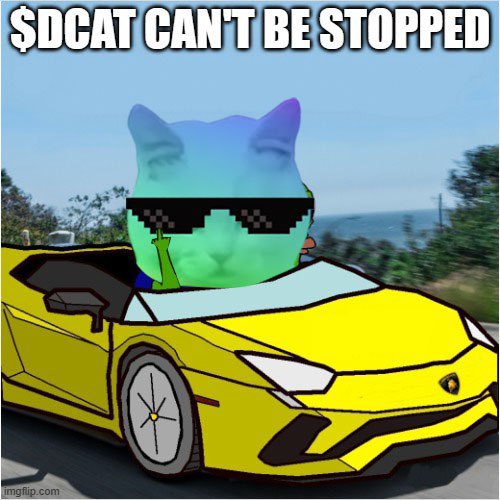 Dancing Cat | $DCAT tweet media