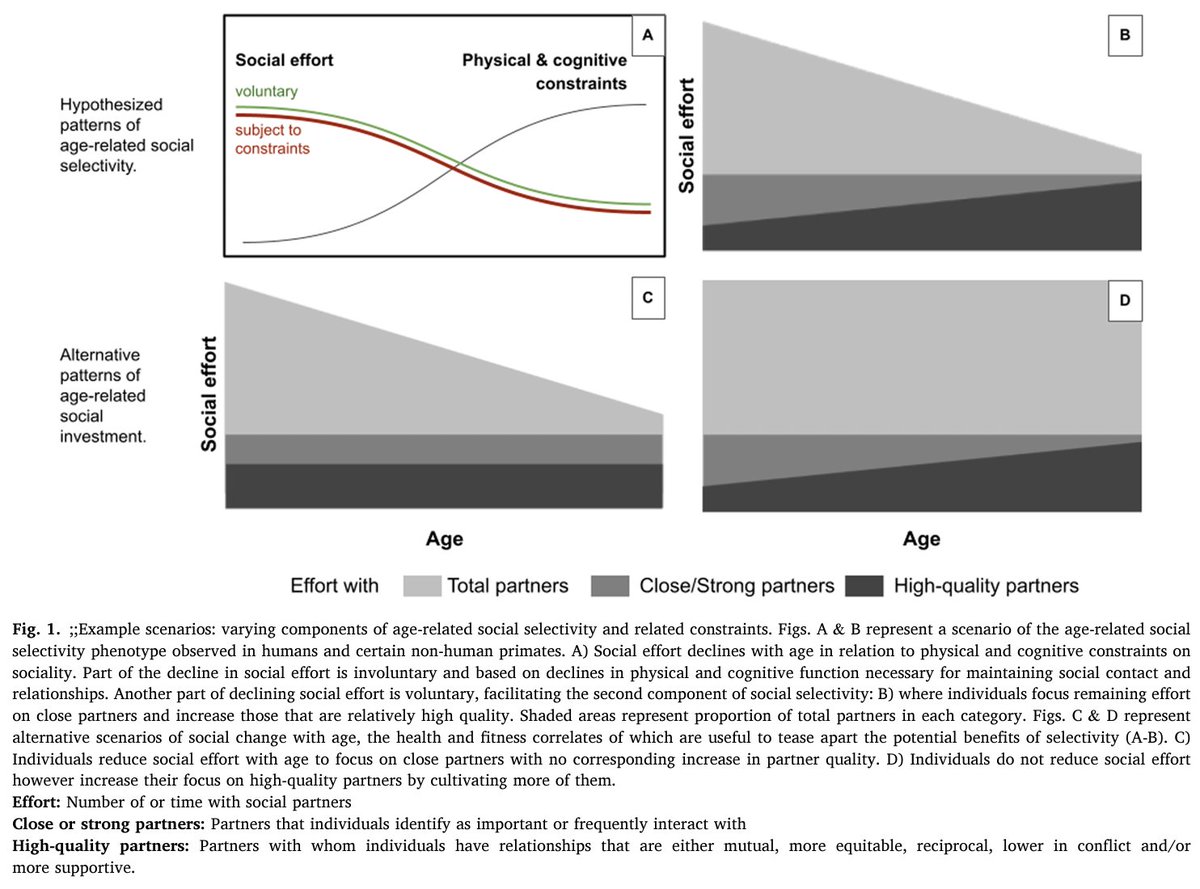 Animal Models of Social Aging Research Network (@animalsocaging) on Twitter photo 🔍 <a href="/NicoleAlineSci/">Nicole (Nic) Thompson González</a>, @zeppypearl & Dr. Emery Thompson synthesize recent evidence that social selectivity also occurs in other animals, including some nonhuman primates, providing a comparative testing ground for understanding its causes and consequences.
doi.org/10.1016/j.neub… 🔍 <a href="/NicoleAlineSci/">Nicole (Nic) Thompson González</a>, @zeppypearl & Dr. Emery Thompson synthesize recent evidence that social selectivity also occurs in other animals, including some nonhuman primates, providing a comparative testing ground for understanding its causes and consequences.
doi.org/10.1016/j.neub…