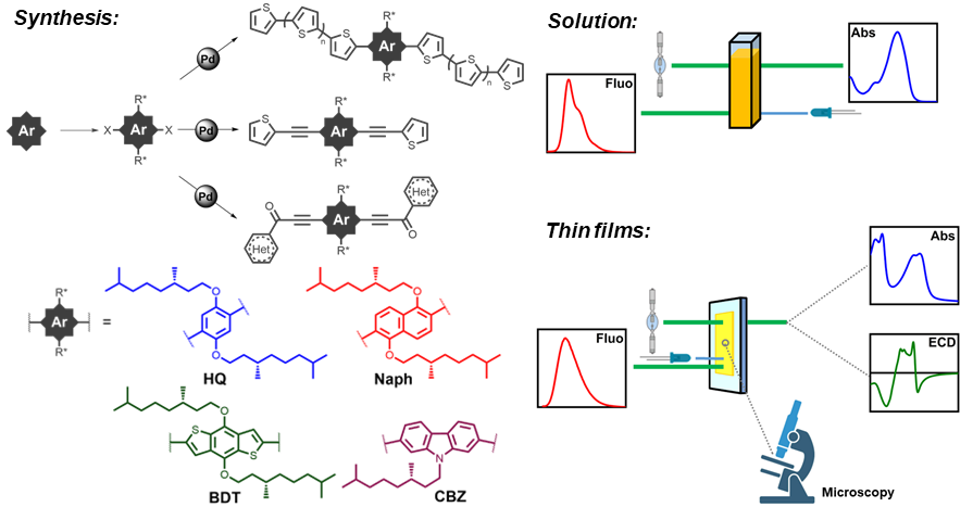 Gianluigi Albano (@gianluigialbano) on Twitter photo Organic synthesis and spectroscopy: a charming marriage! An impressive synthetic effort, for a systematic chiroptical study of 11 new chiral π-conjugated oligomers. Very glad to see this work finally published on <a href="/EurJOC/">EurJOC</a>! Check it out: 👇
…mistry-europe.onlinelibrary.wiley.com/doi/abs/10.100… Organic synthesis and spectroscopy: a charming marriage! An impressive synthetic effort, for a systematic chiroptical study of 11 new chiral π-conjugated oligomers. Very glad to see this work finally published on <a href="/EurJOC/">EurJOC</a>! Check it out: 👇
…mistry-europe.onlinelibrary.wiley.com/doi/abs/10.100…