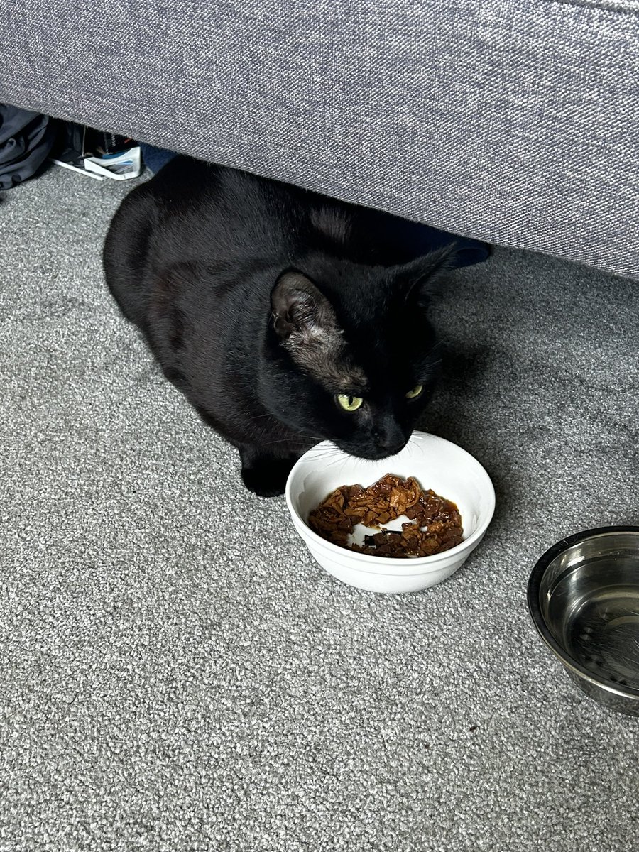 Fiona Lehane tweet media