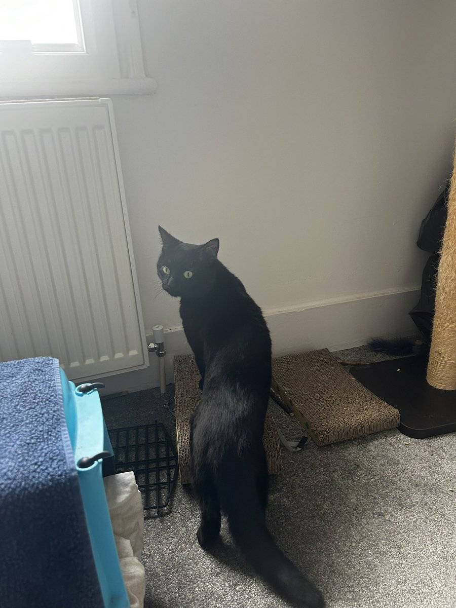 Fiona Lehane tweet media