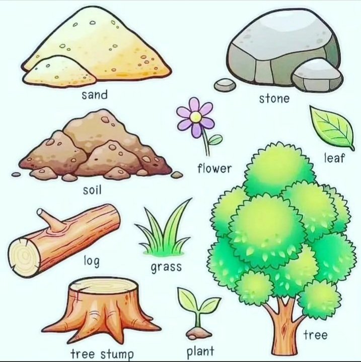 Evrenkntenglish's tweet image. #MondayQuiz #MondayMovtivation #PhrasalVerbsECI #phraselverbs #speakenglish #englishlanguage #english #vocabulary #grammar #ingilizce #vocab #learning #Onlineclass #onlinework #TOEFL #IELTS #testing #studyEnglish #writing #reading #listening #university_students #yds #booklovers