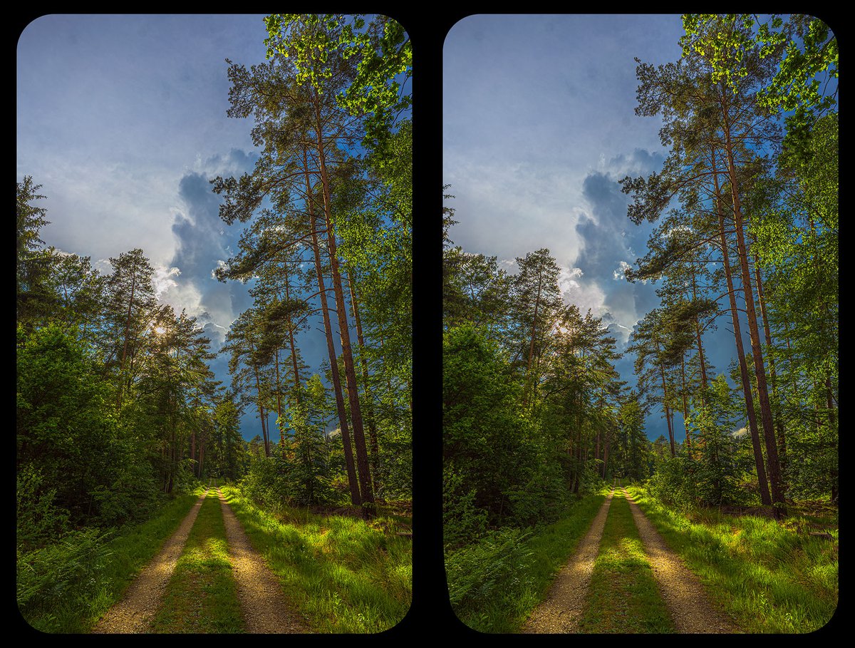 #3D #Stereoscopy #Kreuzblick #Crossview #Stereo3D #outdoor #NatureWalk