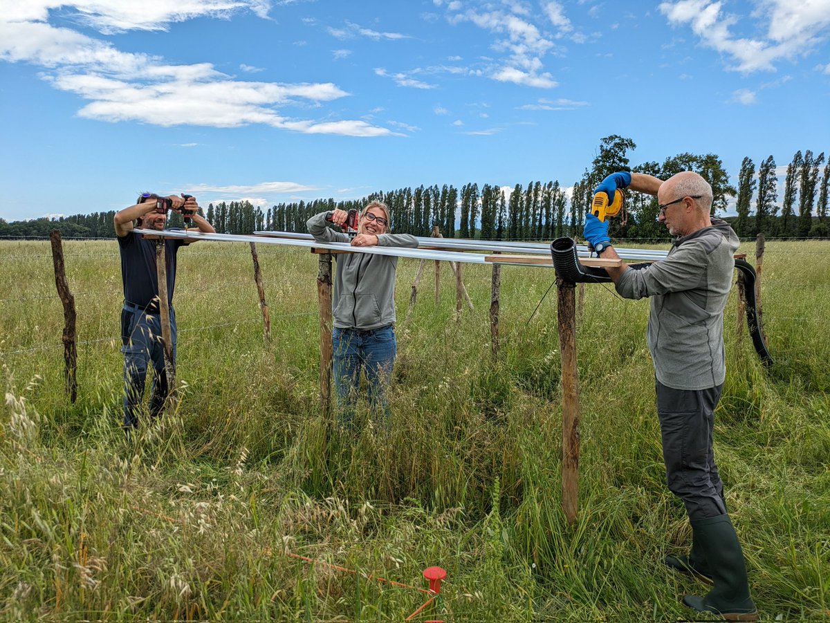 CarolinaPRIN tweet media