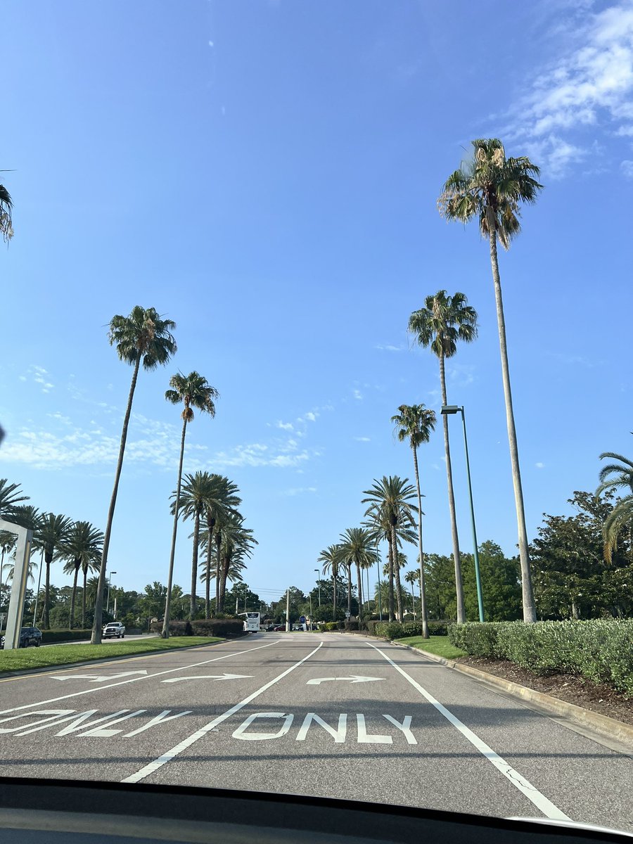 kasmultimedia's tweet photo. Wow what a wonderful weekend! We went to Florida to spend time with my sister Karen and family, enjoyed the hot weather, healthy exercise and healthy eating and strolled the beautiful New Smyrna Beach! Take time to rest, reflect, &amp; enjoy the beauty of each day! I am thankful!❤️ https://t.co/RhKzkua66v