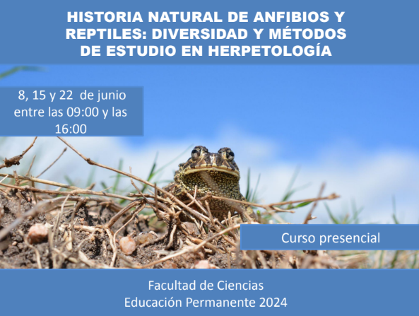 eduperfcien's tweet photo. Estimad@s,  Están abiertas las inscripciones para el curso EP "HISTORIA NATURAL DE ANFIBIOS Y REPTILES: DIVERSIDAD Y MÉTODOS DE ESTUDIO EN HERPETOLOGÍA".  INSCRIPCIONES: https://t.co/0op32MVTkX……… …hasta el 04 de junio. Matrícula: $u 500.  Adjuntamos más info. https://t.co/yIjreqrHIg