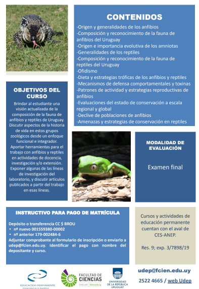 eduperfcien's tweet photo. Estimad@s,  Están abiertas las inscripciones para el curso EP "HISTORIA NATURAL DE ANFIBIOS Y REPTILES: DIVERSIDAD Y MÉTODOS DE ESTUDIO EN HERPETOLOGÍA".  INSCRIPCIONES: https://t.co/0op32MVTkX……… …hasta el 04 de junio. Matrícula: $u 500.  Adjuntamos más info. https://t.co/yIjreqrHIg