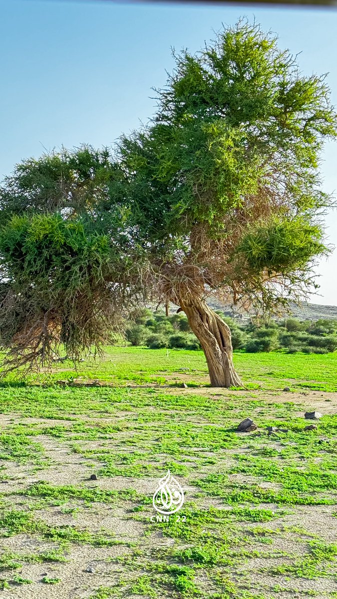 فلاح بن ناجي tweet media