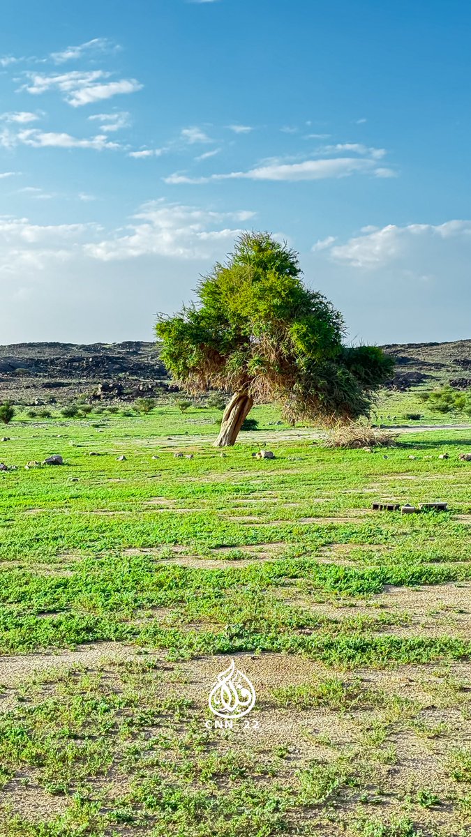 فلاح بن ناجي tweet media