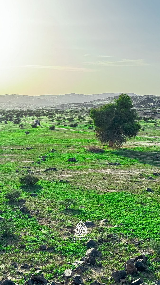 فلاح بن ناجي tweet media