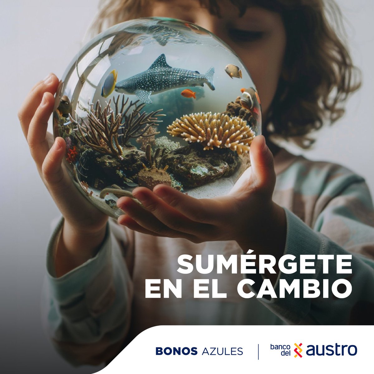 BancodelAustro's tweet photo. En Banco del Austro, creemos en el poder del cambio positivo. Es por eso que impulsamos los Bonos Azules para proteger nuestros océanos y asegurar un futuro sostenible. 🌊🌏
Conoce más en: https://t.co/jJKaCbVuOt
#BonosAzules #BancoDelAustro #Sostenibilidad https://t.co/2wFW5p8UFO