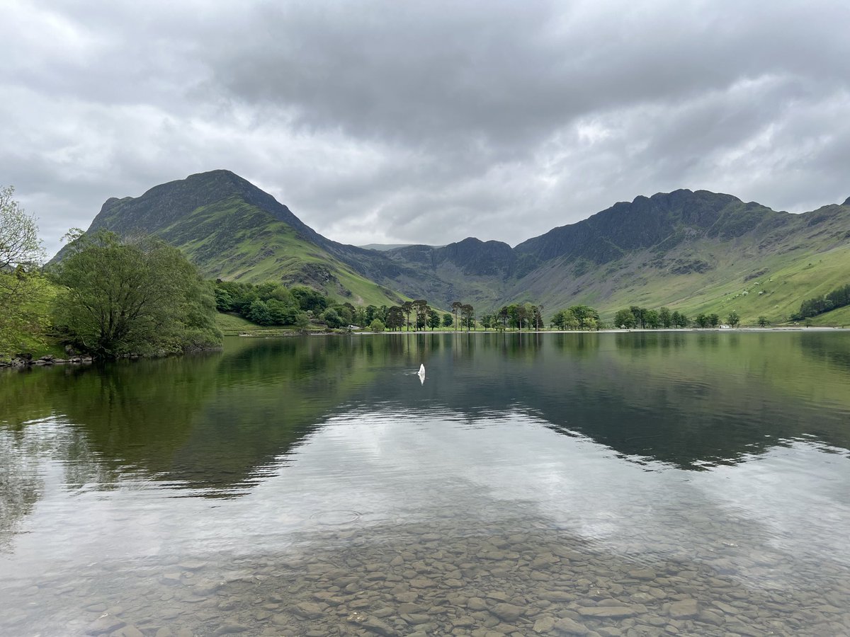 Upturned Swan in Buttermere