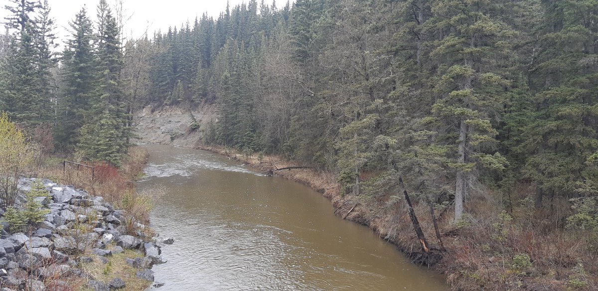 If the drought keeps up like this, the creek on the edge of my property might burst its banks