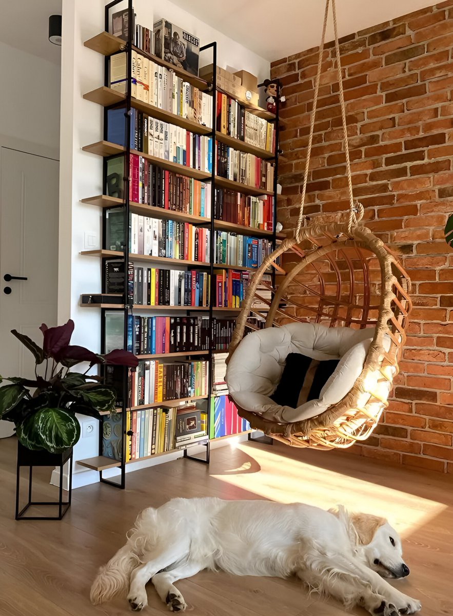 MiguelMaestroIA's tweet image. NO es necesario pagar por libros.

Internet es lectura gratuita si sabes dónde buscar...

17 sitios web que tienen millones de libros y documentos.

[🔖 Guárdalos ]